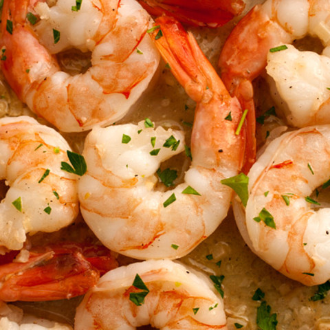 savory-garlic-butter-shrimp-scampi